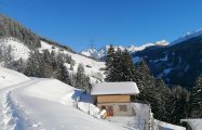 IMG_20230207_153258