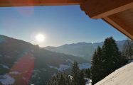 IMG_20230207_162754